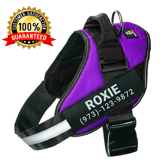 Personalized No Pull Dog Harness Vest