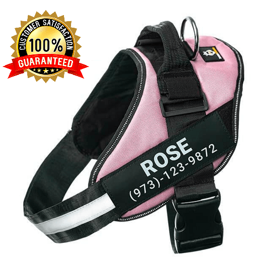 Personalized No Pull Dog Harness Vest
