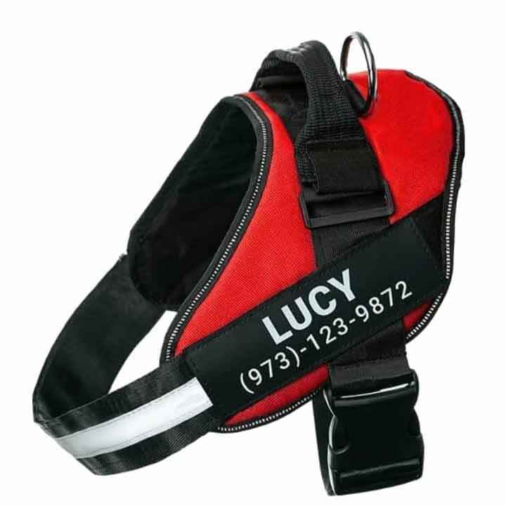 Personalized No Pull Dog Harness Vest