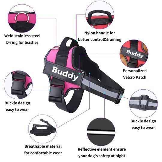 Personalized No Pull Dog Harness Vest