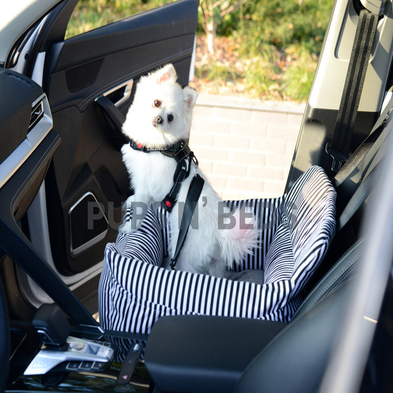 safe travel dog car seat