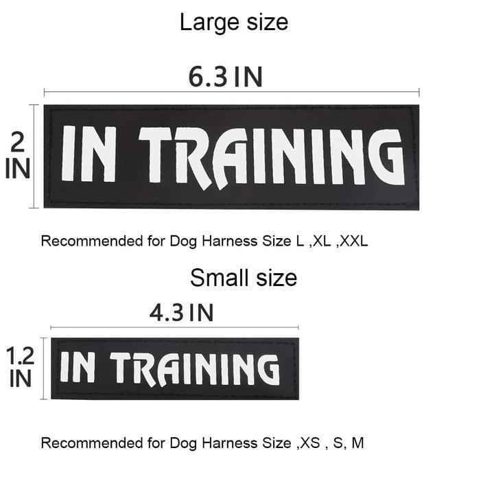 Name Tag Replacement