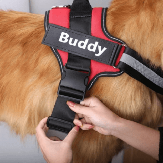 Personalized No Pull Dog Harness Vest