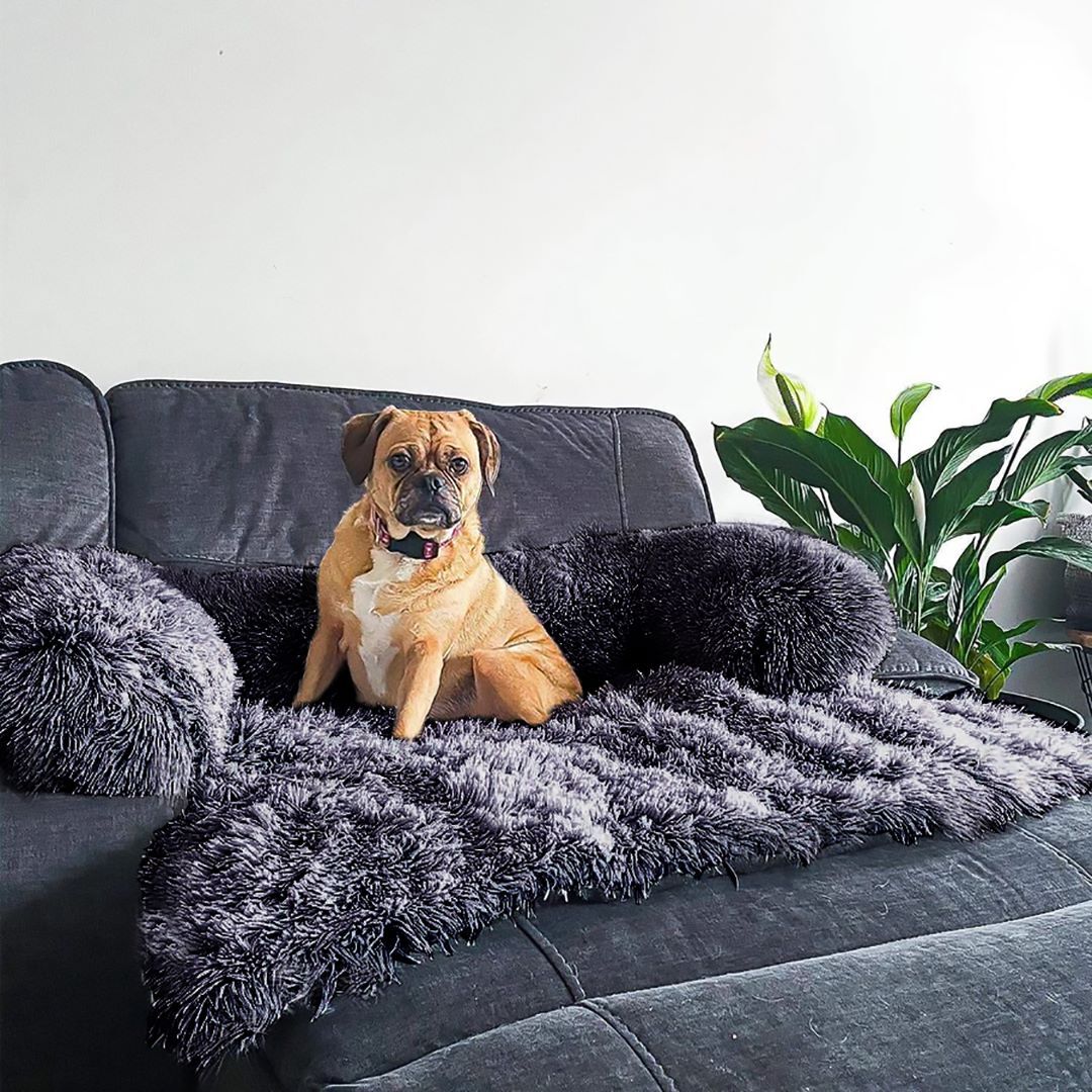 Best Dog Calming Beds in Australia Pups N' Beds™ Pups N' Beds l AU