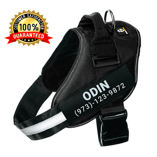 Personalized No Pull Dog Harness Vest