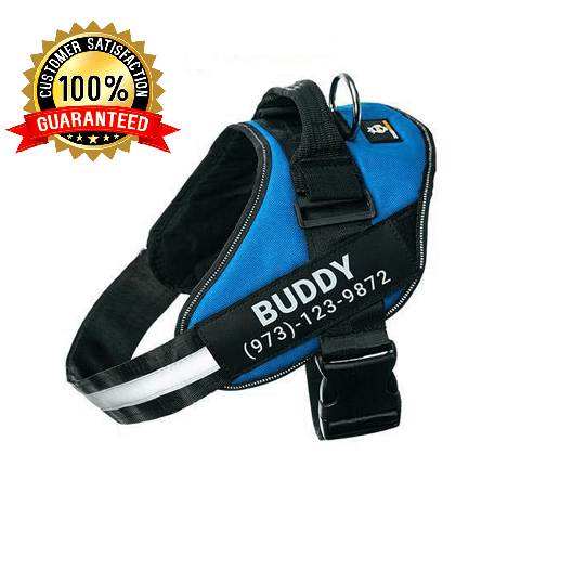 Personalized No Pull Dog Harness Vest