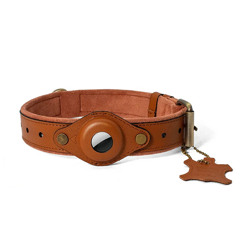 apple airtag pet collar holder