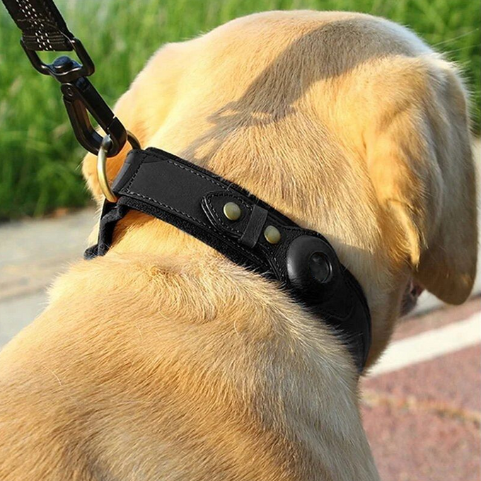 black dog airtag case holder