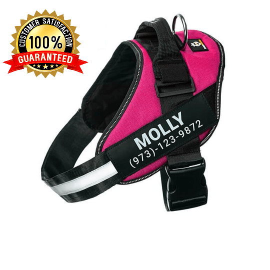 Personalized No Pull Dog Harness Vest