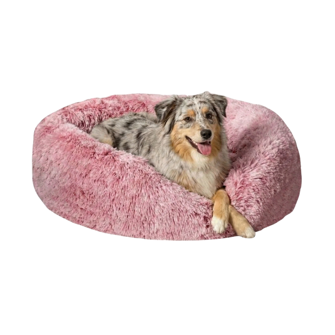 Premium Calming Dog Bed