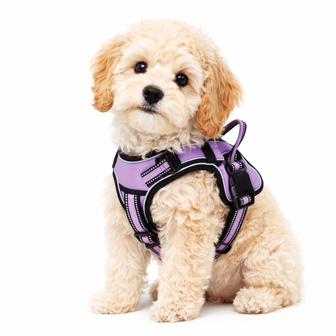 Heavy Duty Front-Clip Dog Harness – Reflective & No-Pull Control for Large Dogs