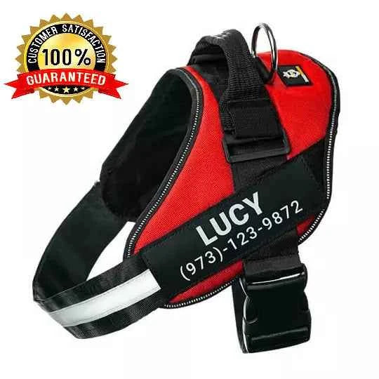 Personalized No Pull Dog Harness Vest