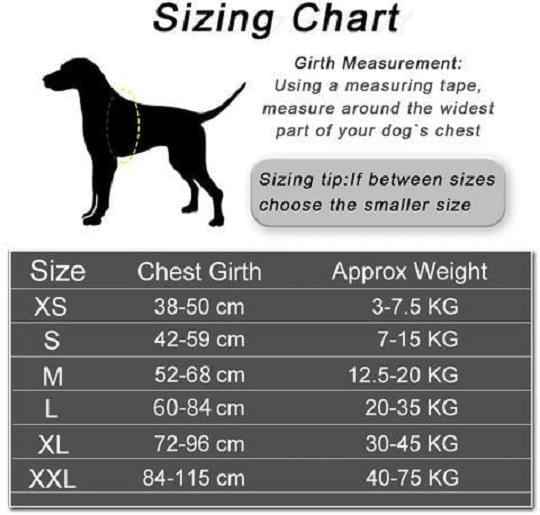 Personalized No Pull Dog Harness Vest
